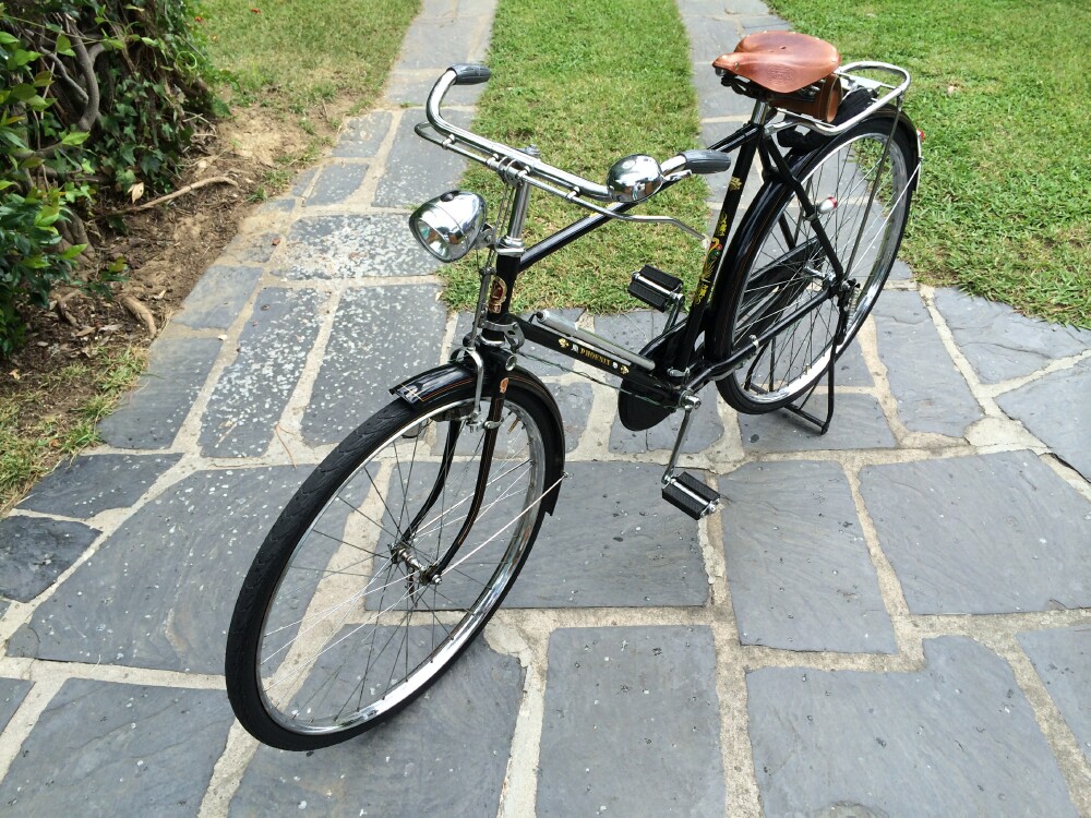 Bicicletta Phoenix