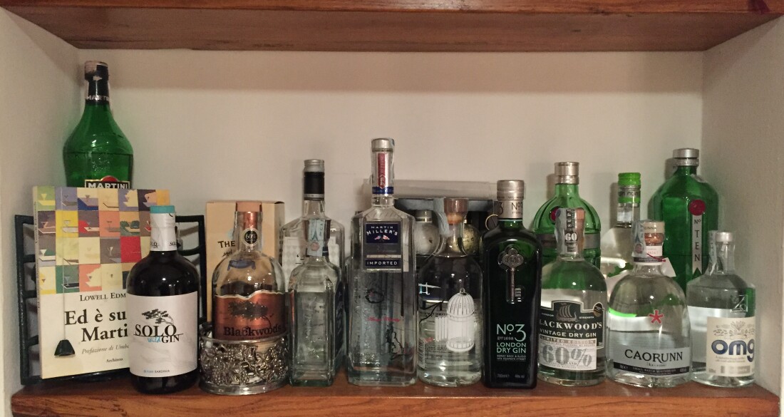 Some of the Premium Gins in Casa Pasini, January 2016