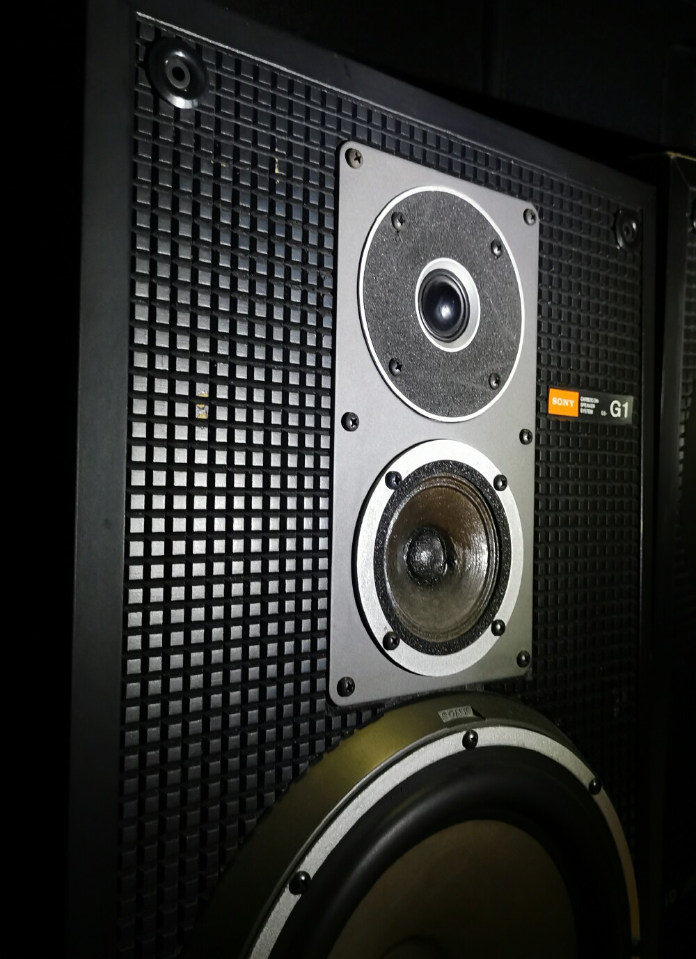 Sony SS-G1-MKII Speakers