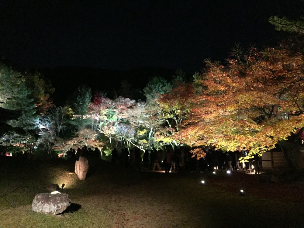 Concorso d'Eleganza Kyoto 2016