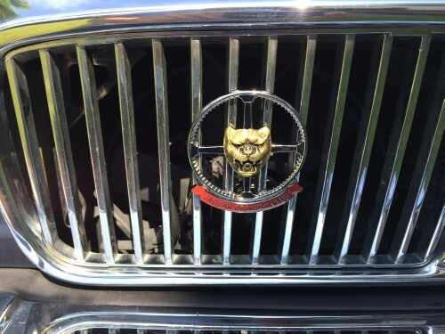 Jaguar XJ40 recommissioning