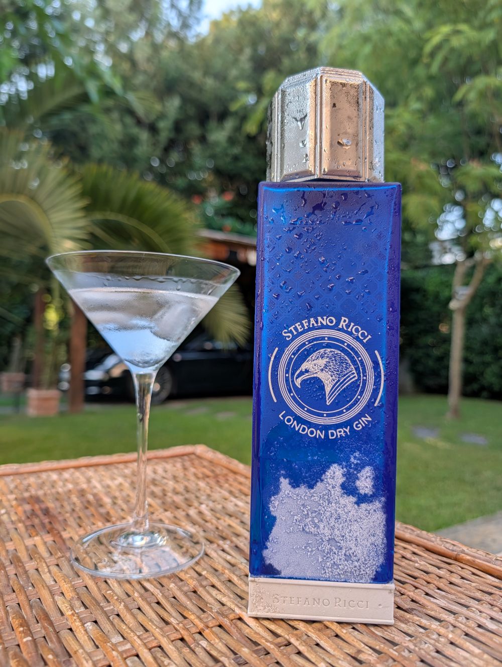 Stefano Ricci Gin, Best in the World